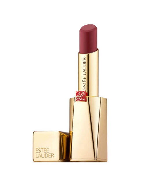 Estee Lauder Pure Color Desire Lipstick 102 Give In