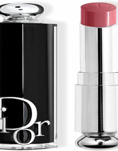 Dior Addict Barra De Labios 566 1un