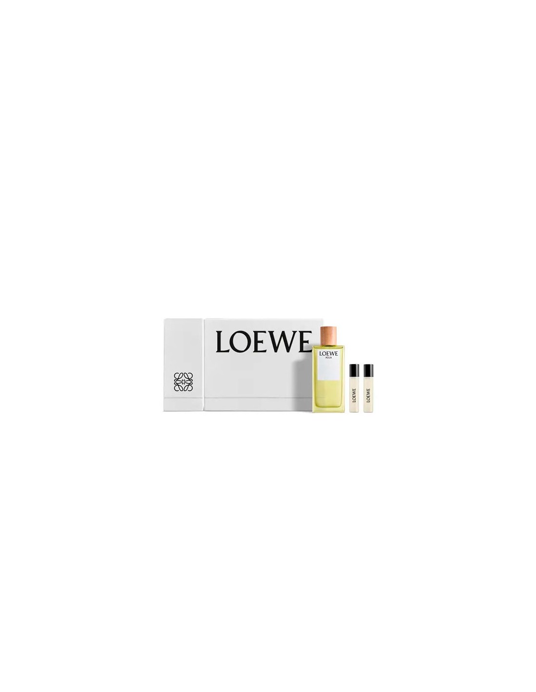 Loewe Agua Edt Spray 100ml Nav24 Sets
